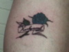 blue rose