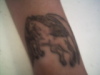 pegasis