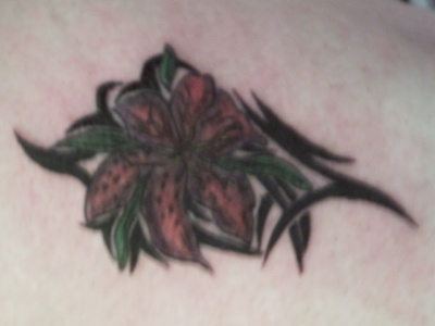 tiger lilly